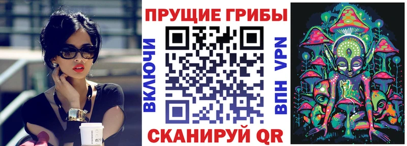 Псилоцибиновые грибы Magic Shrooms  где продают наркотики  Красный Холм 